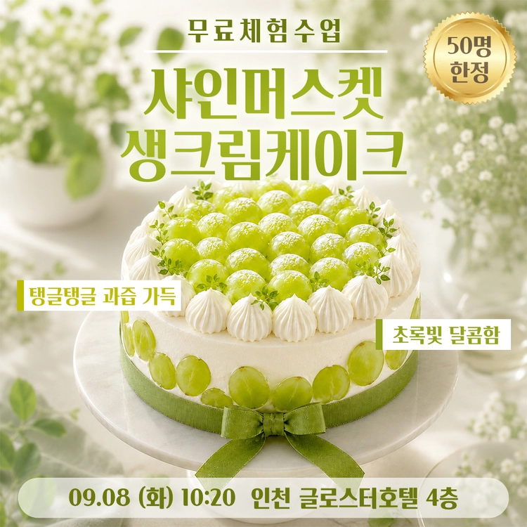 기획전 이미지