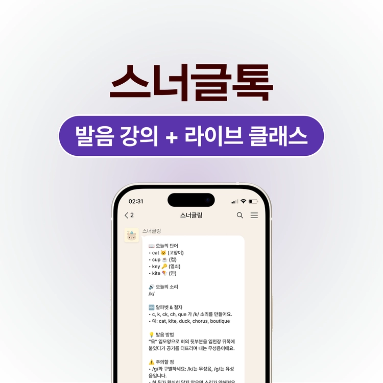 기획전 이미지
