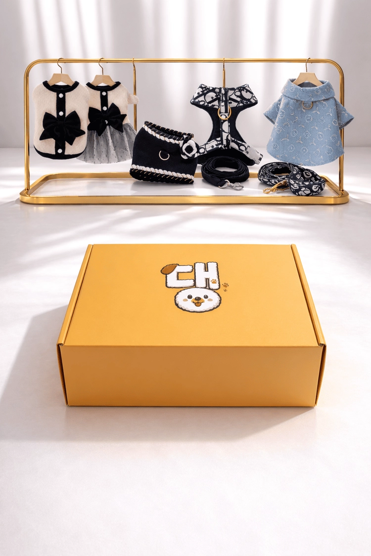 기획전 이미지
