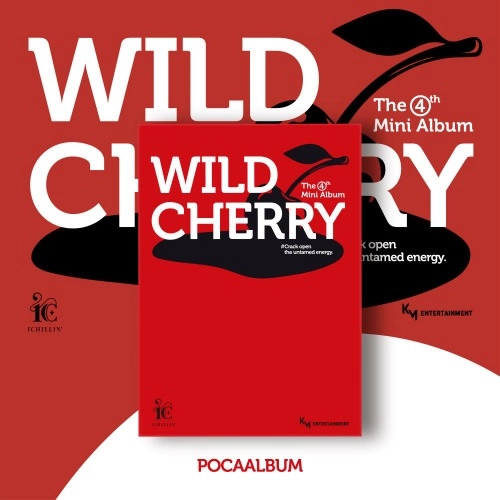 Collection image
