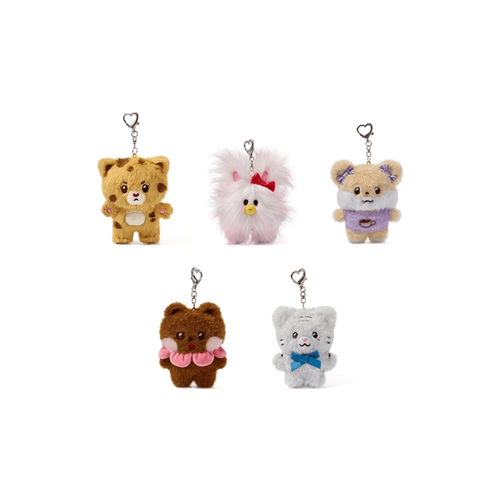 Collection image