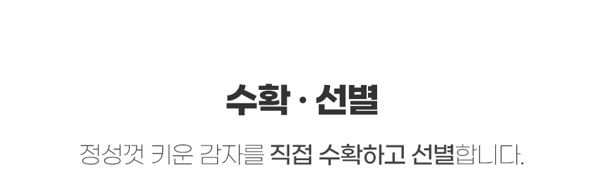 생감자 카스테라 홍감자 수미 두백 자영 5kg 10kg