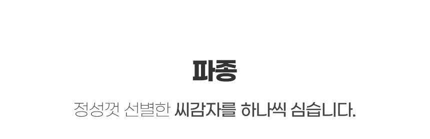 생감자 카스테라 홍감자 수미 두백 자영 5kg 10kg