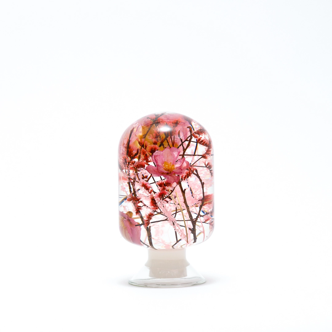 [stylejieum] Pieces of Time ♠ウォータープラント 500ml Pieces of time