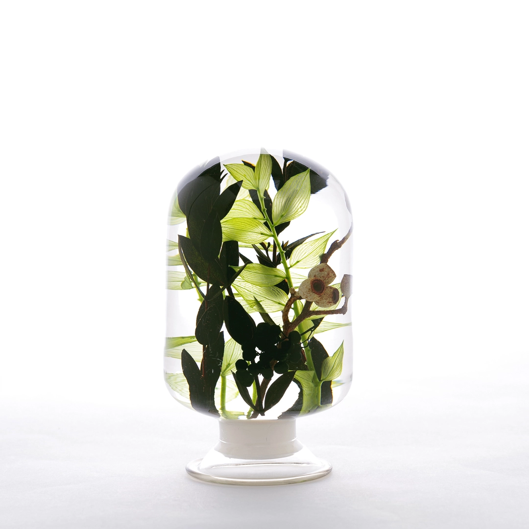 [stylejieum] Pieces of Time ♠ウォータープラント 500ml Pieces of time