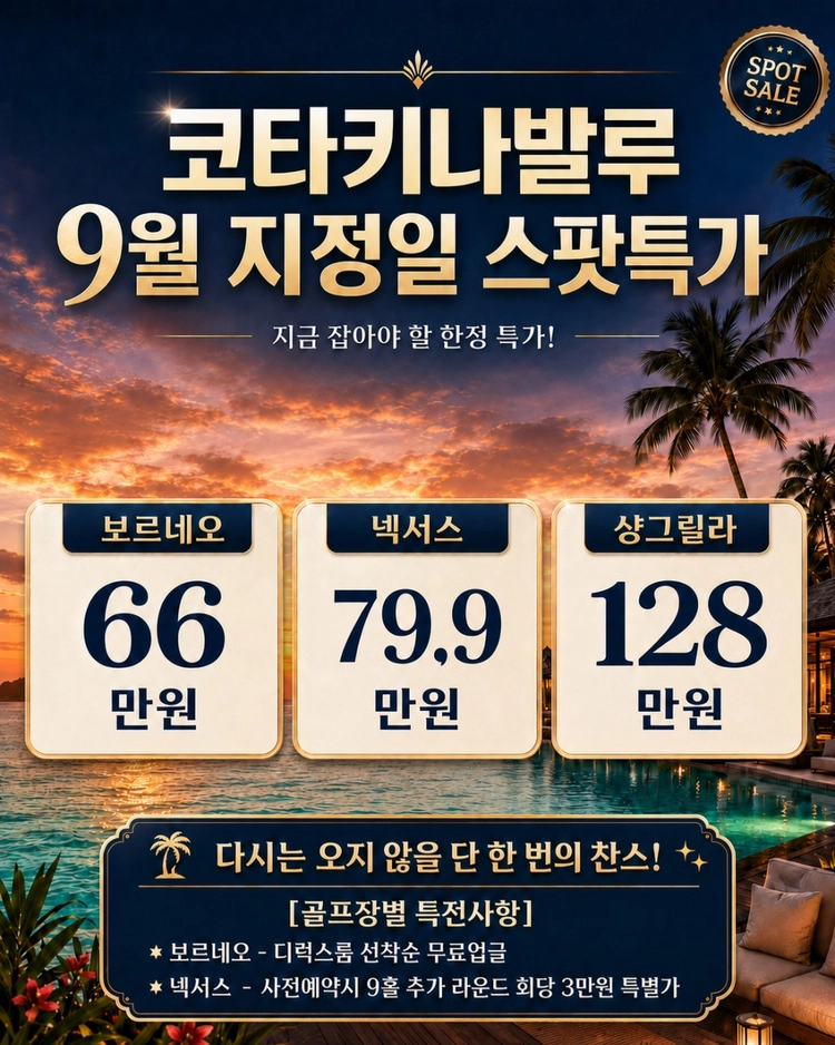 기획전 이미지