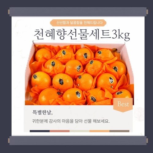 기획전 이미지