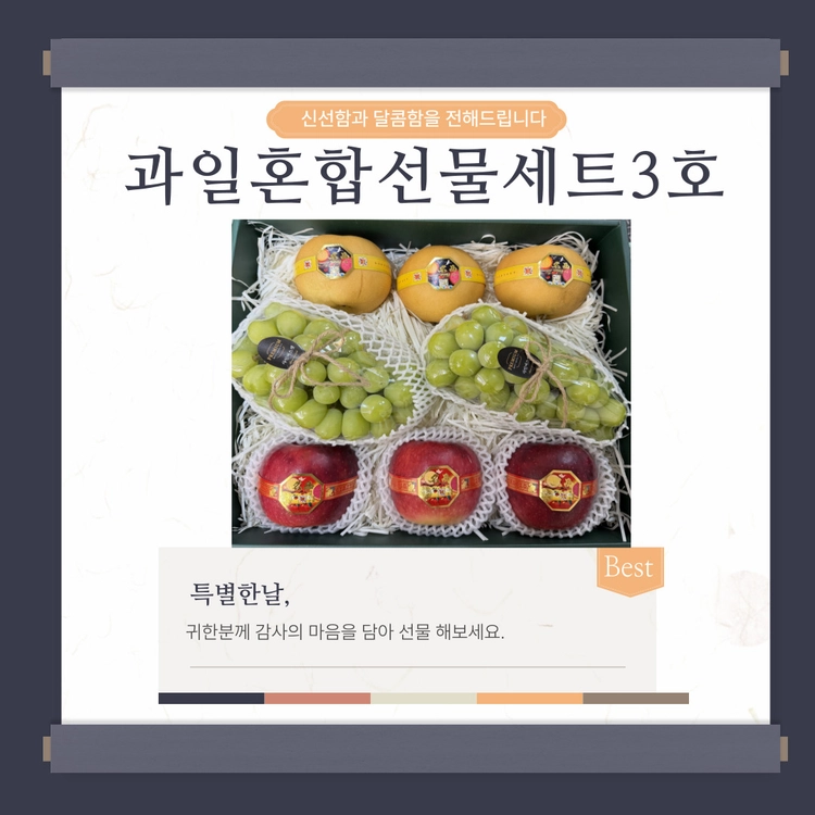 기획전 이미지