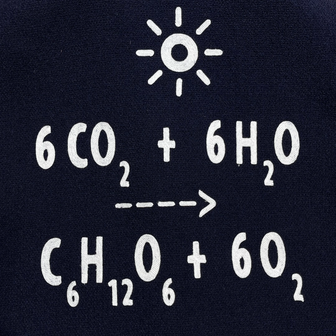 98c8cea79b48e.jpg