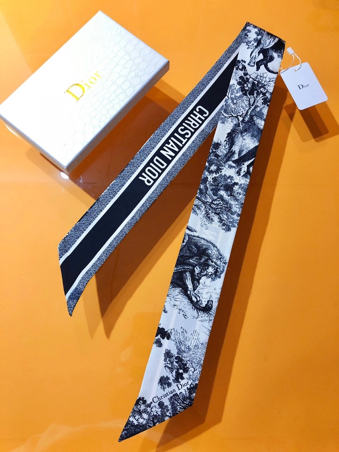 b17f191764931.jpg