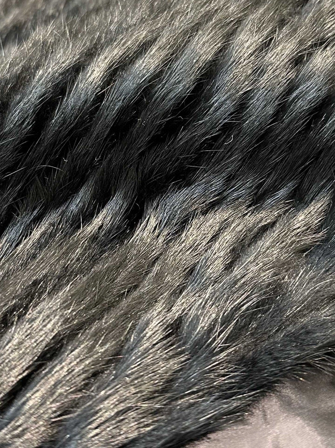 884b1deabd201.png?w=1920