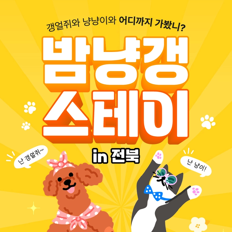 기획전 이미지