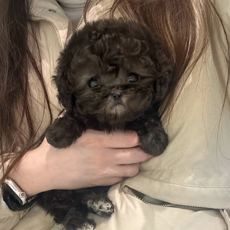 상품 이미지