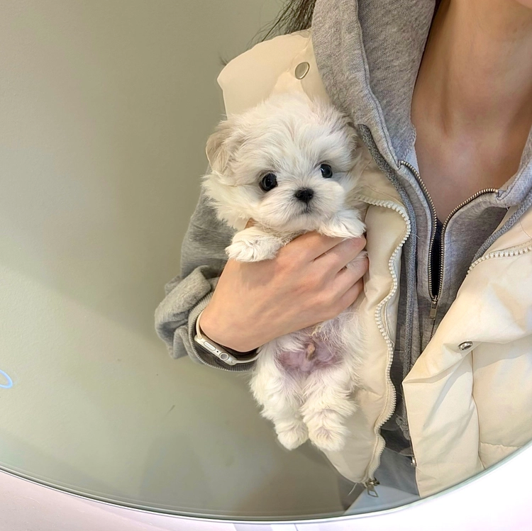 상품 이미지
