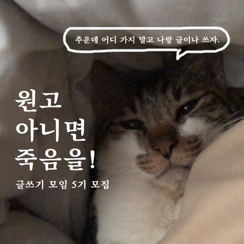 기획전 이미지