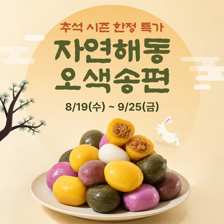 기획전 이미지