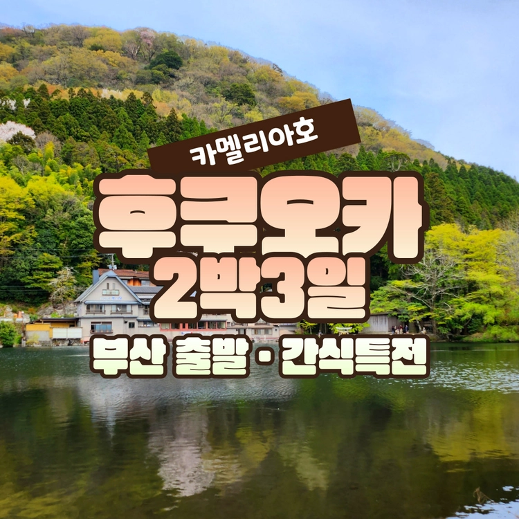 기획전 이미지