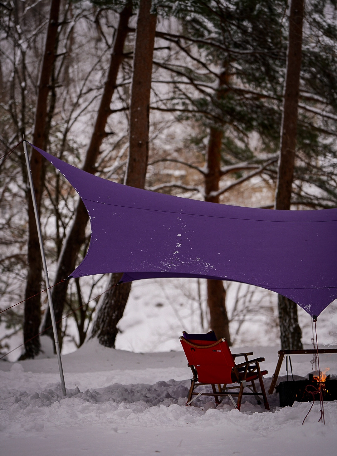 momo_10kiro maico ノワタープ NEOWA マスタード ノワ (NEOWA) : MAICOGEAR JAPAN