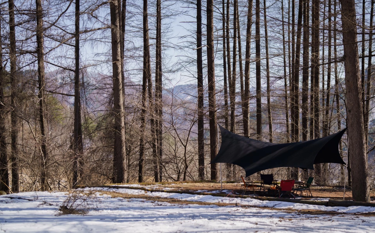 momo_10kiro maico ノワタープ NEOWA マスタード momo_10kiro maico ノワタープ NEOWA マスタード ノワ (NEOWA