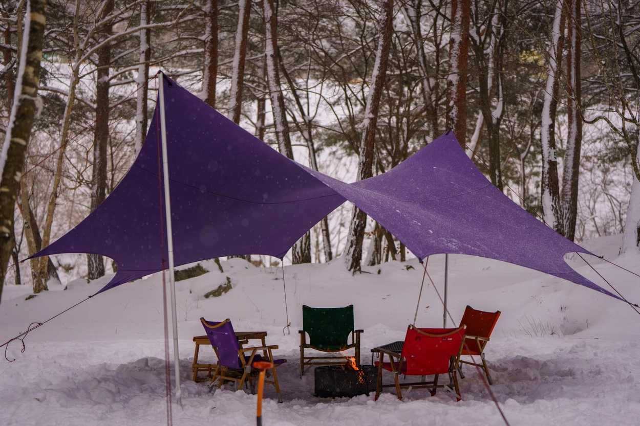 momo_10kiro maico ノワタープ NEOWA マスタード ノワ (NEOWA) : MAICOGEAR JAPAN