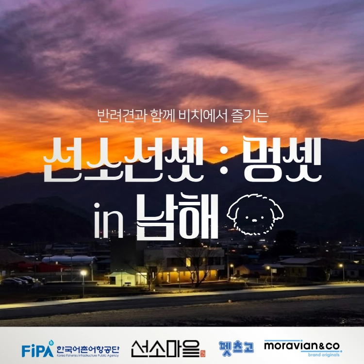 기획전 이미지