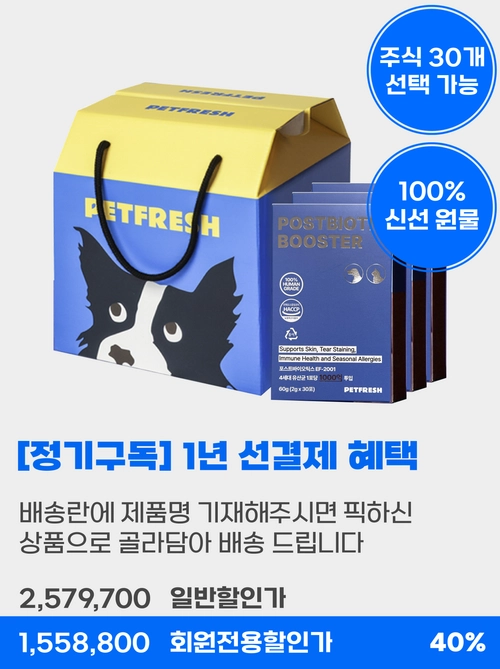 기획전 이미지