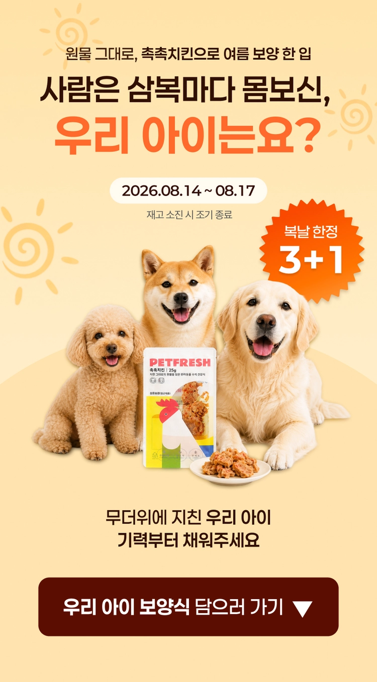 기획전 이미지