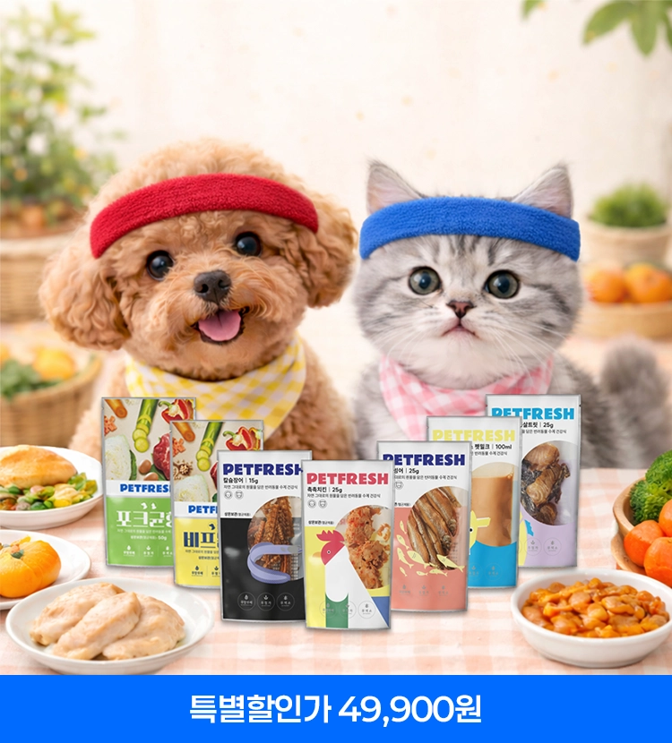 기획전 이미지
