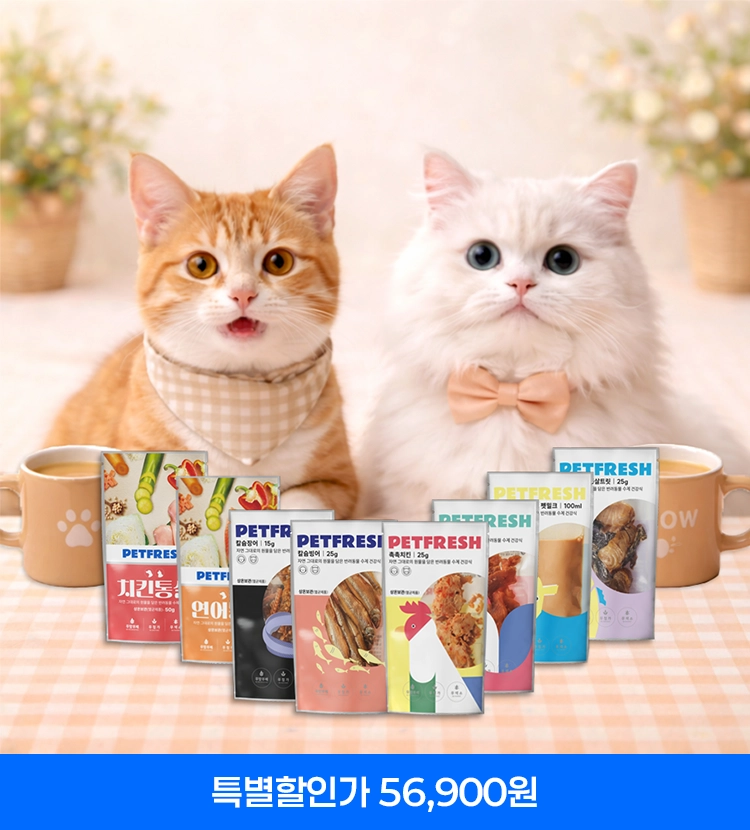 기획전 이미지