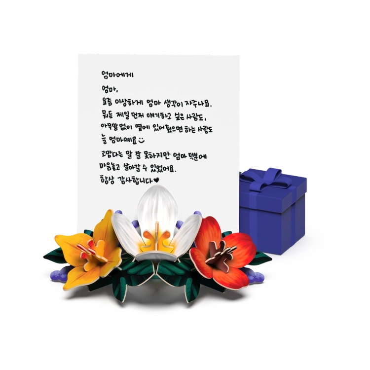 기획전 이미지