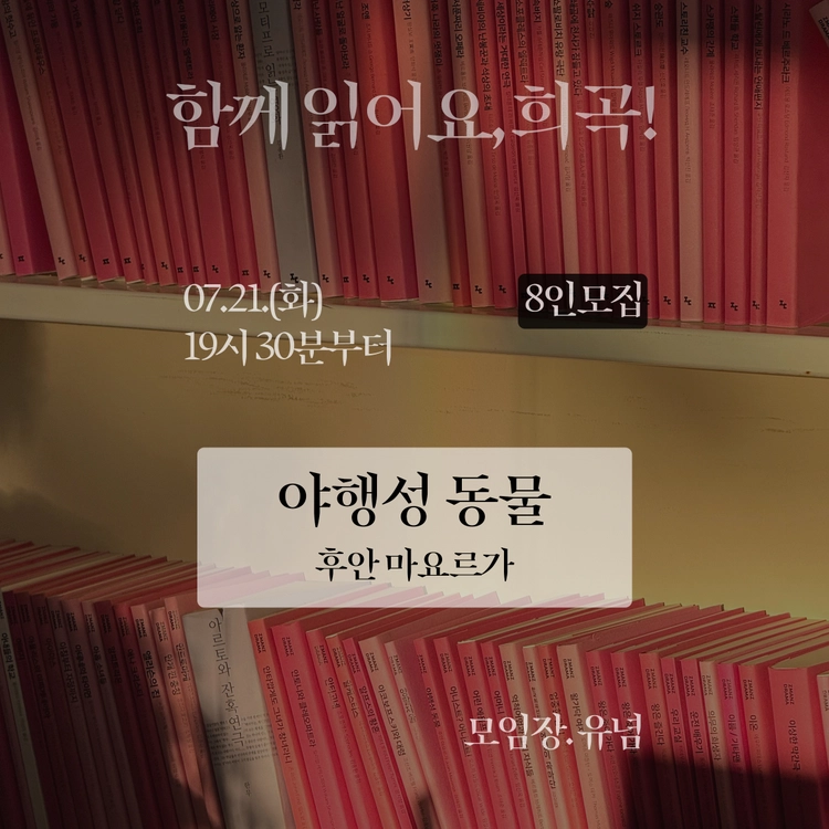기획전 이미지
