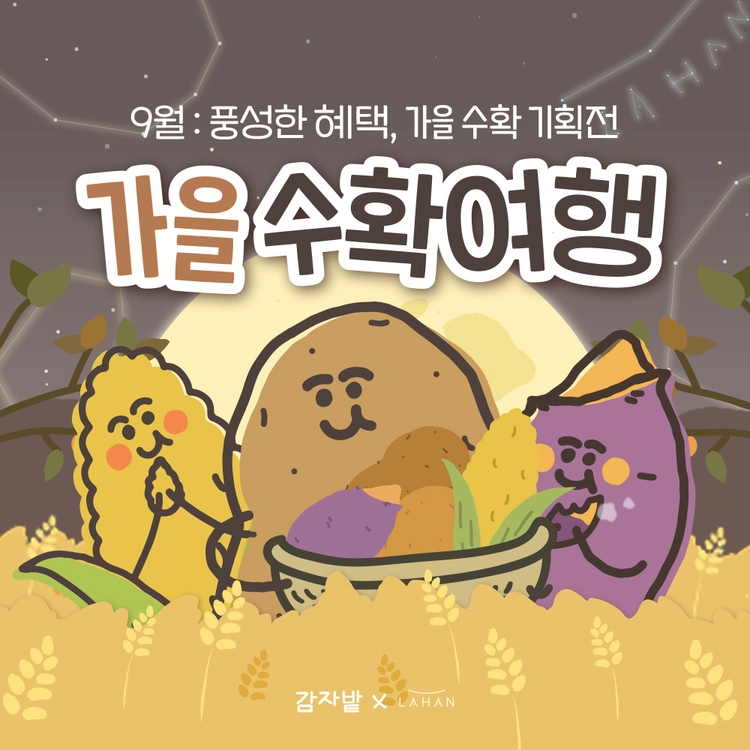 기획전 이미지