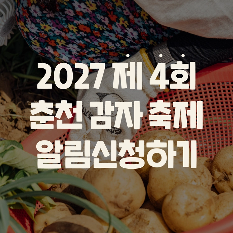 기획전 이미지