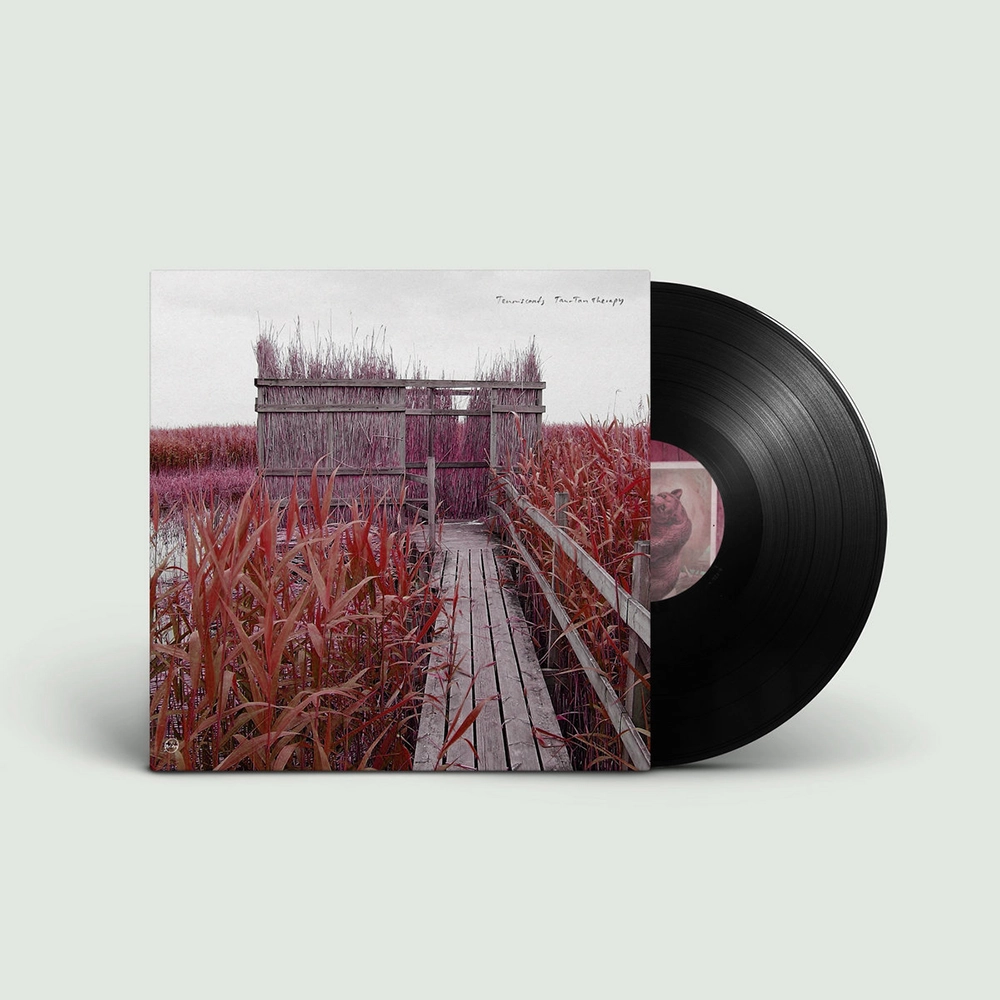 SHINTARO SAKAMOTO - LIKE A FABLE (CD) : CORD