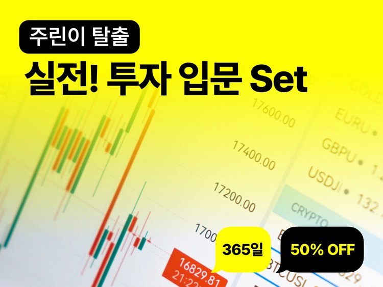기획전 이미지