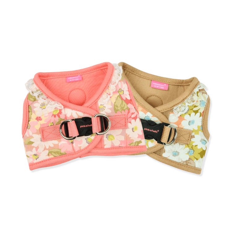 Collection image