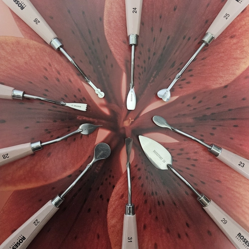 Dotoriページ DOTORIHOUSE