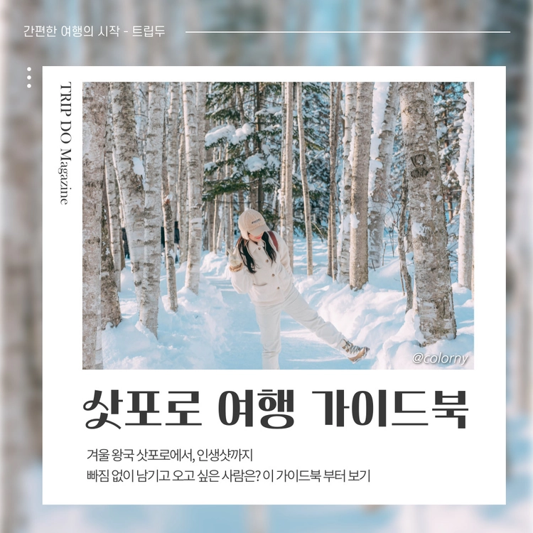 기획전 이미지