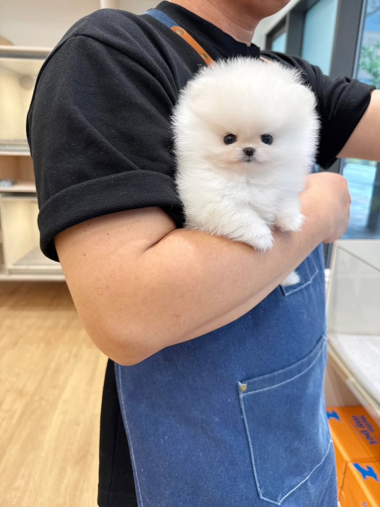 상품 이미지