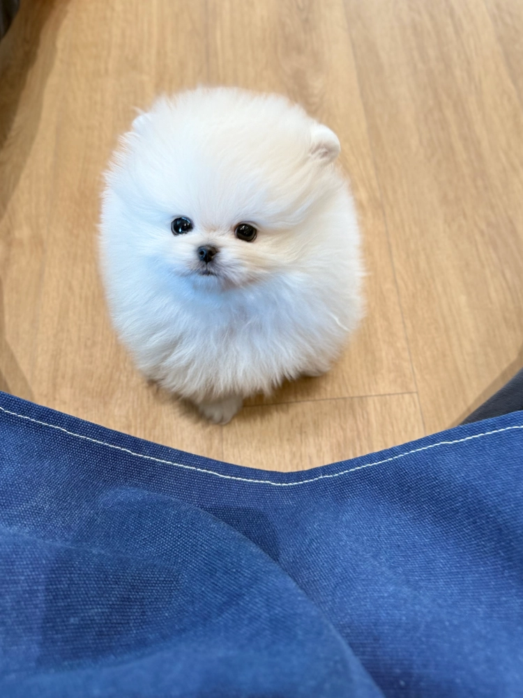 상품 이미지