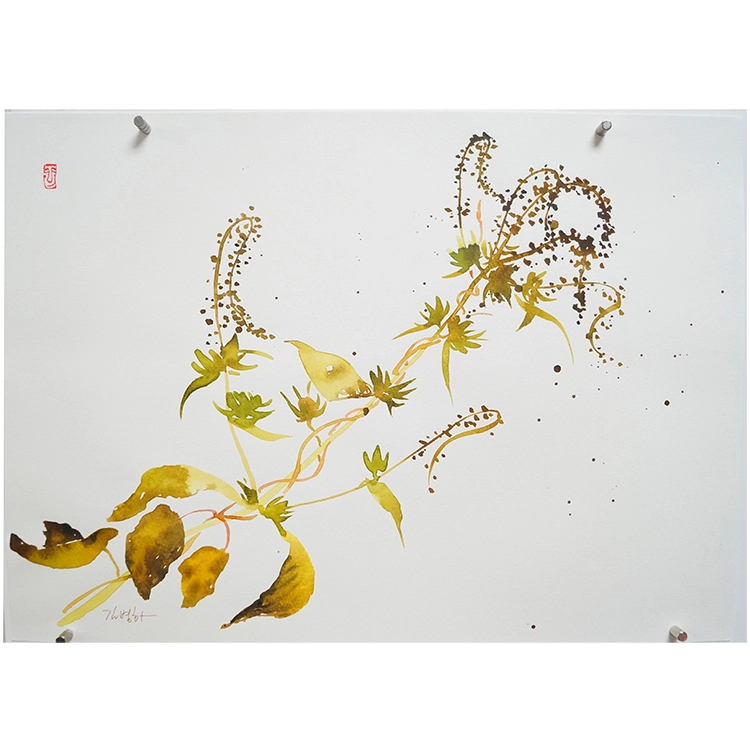 상품 이미지