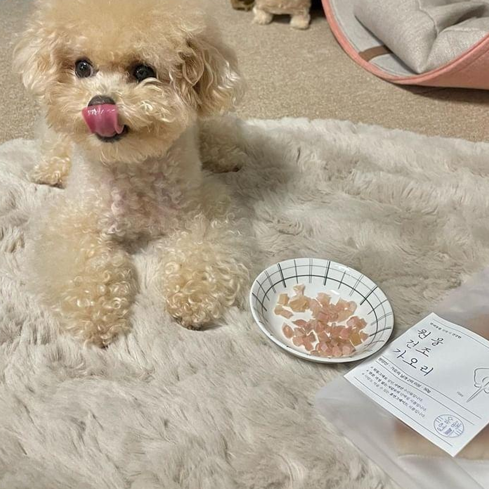 상품 이미지