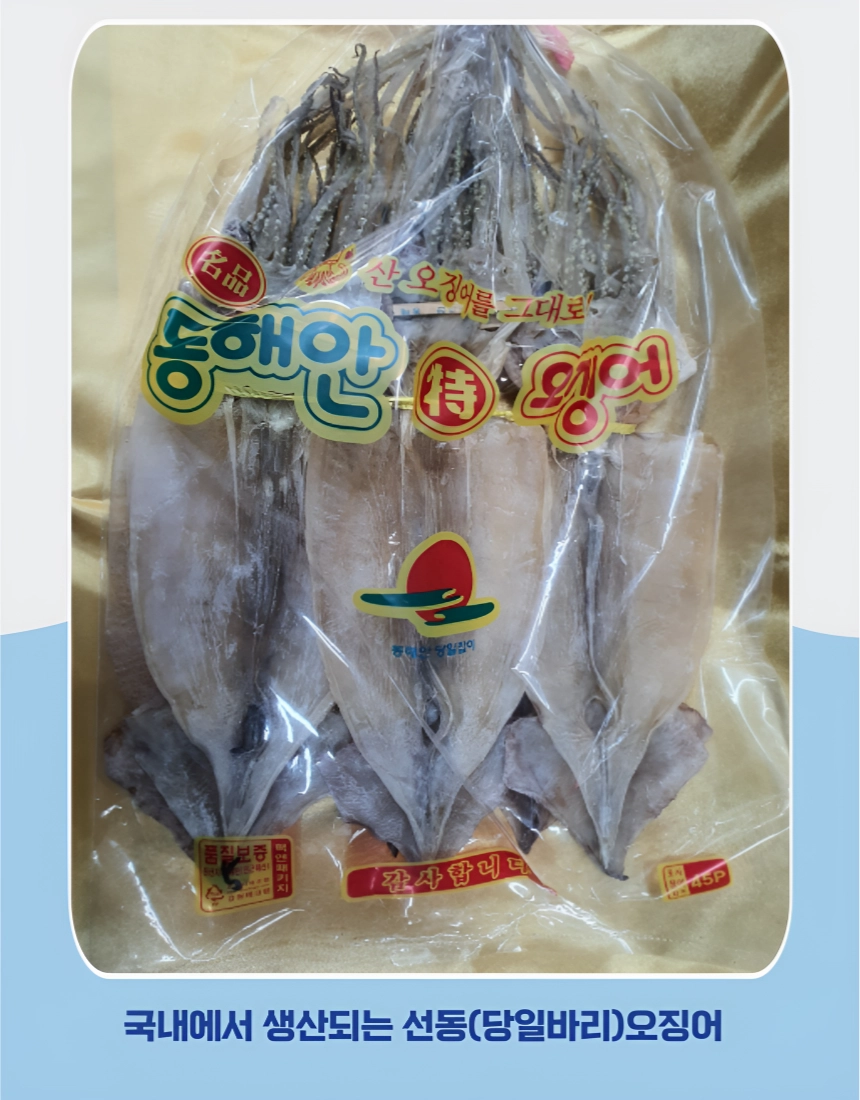 [마산어시장 동해상회] 건조 오징어 5미/ 10미 (사이즈: 소/ 중/ 대/ 특대)