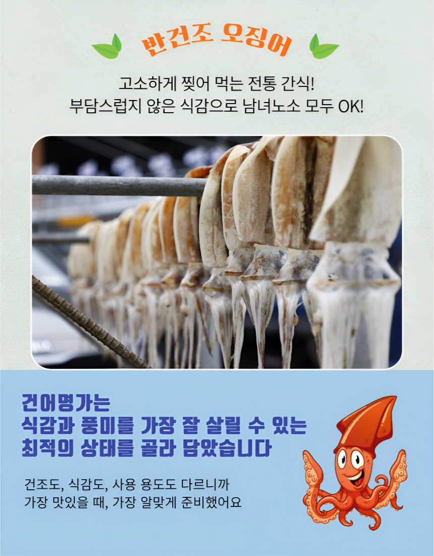 [마산어시장 동해상회] 반건조 오징어 10미(대)