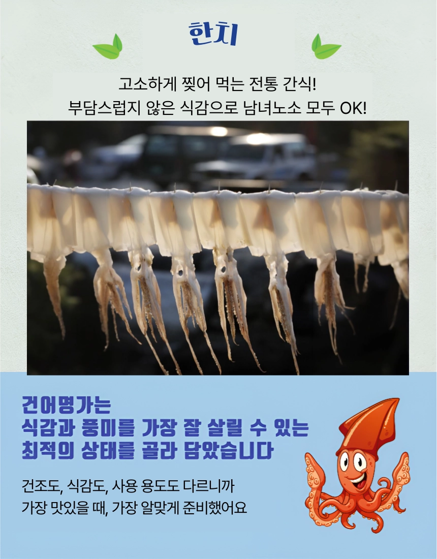 [마산어시장 동해상회] 한치 중(15마리) / 대(10마리)