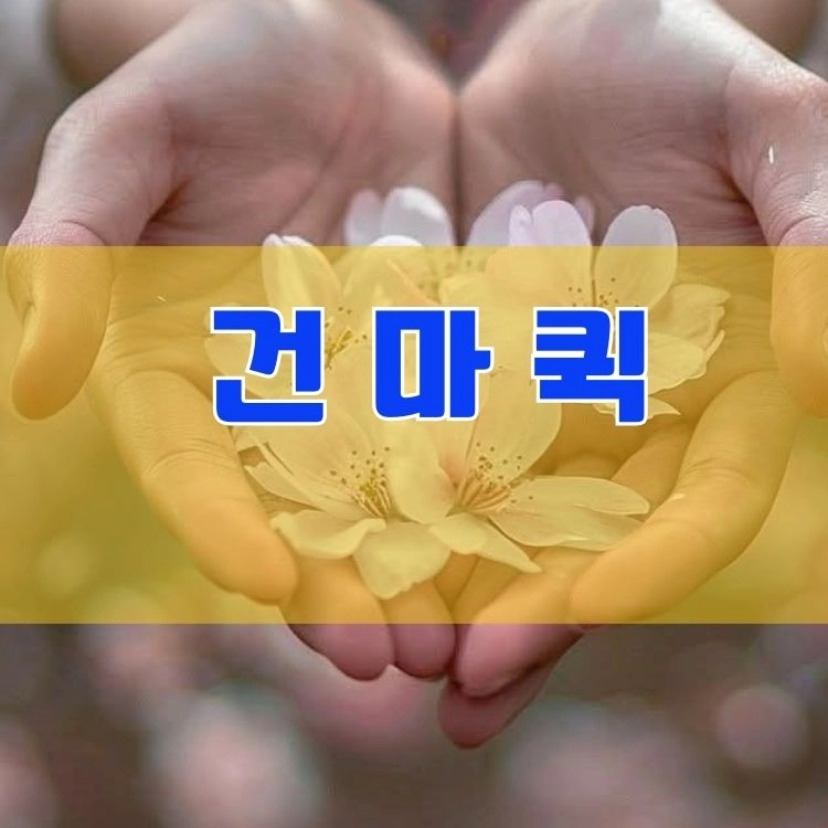기획전 이미지
