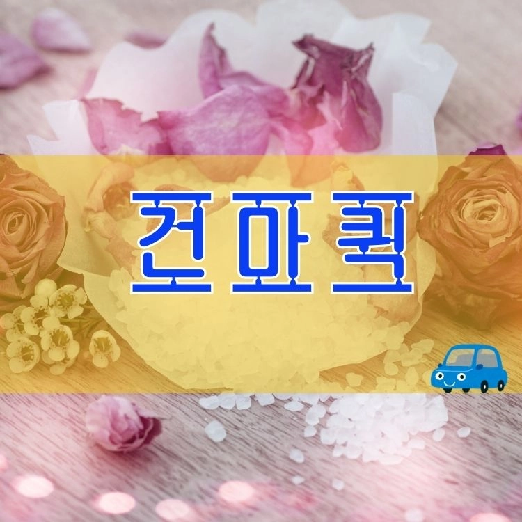 기획전 이미지