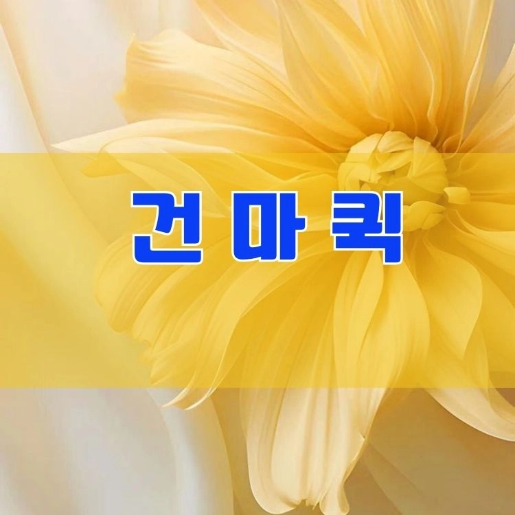 기획전 이미지