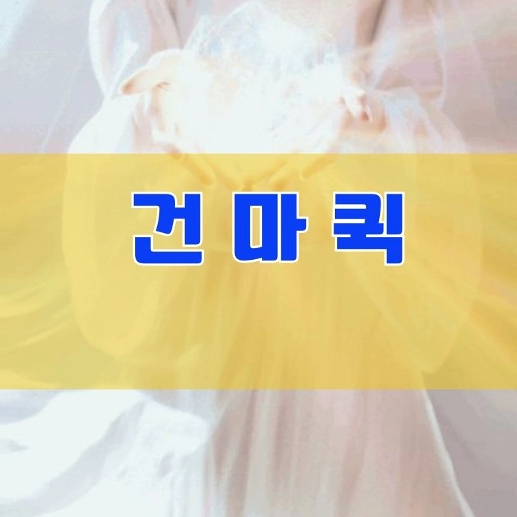 기획전 이미지