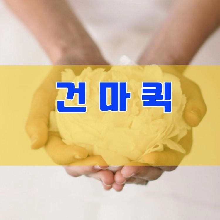 기획전 이미지